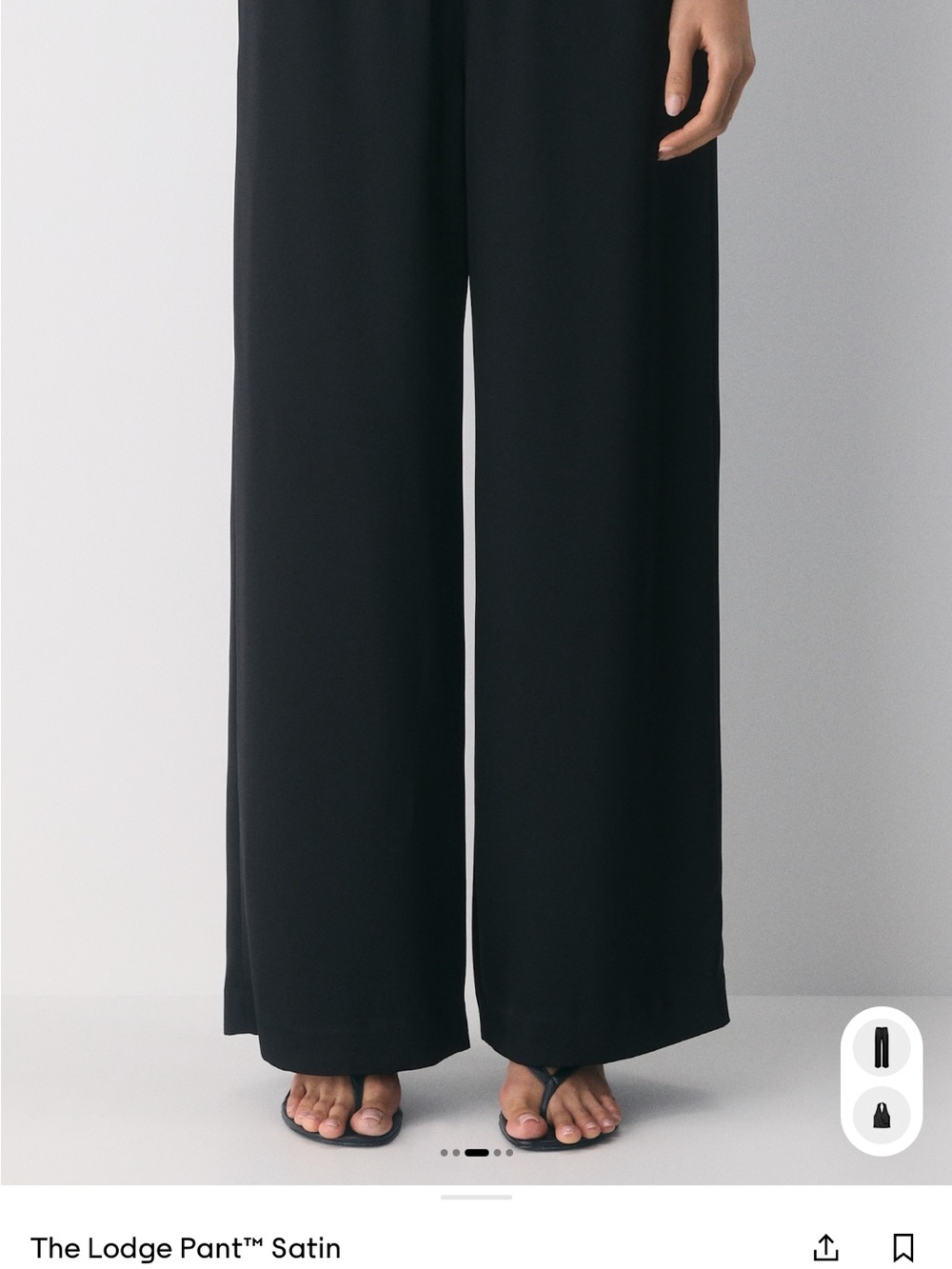 Aritzia Wide-Leg Satin Pants - Black